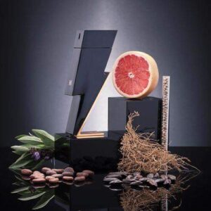 برفيوم رجالى باد بوى